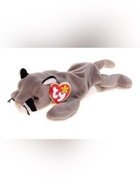 ty Canyon the Cougar